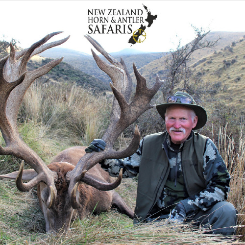 New Zealand Red Stag 441 to 480sci