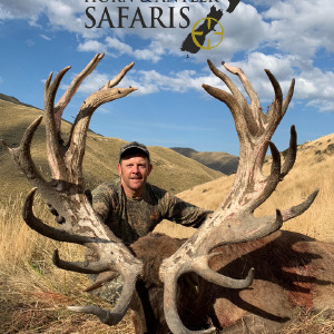 2019 New Zealand Red Stag 441 to 480SCI
