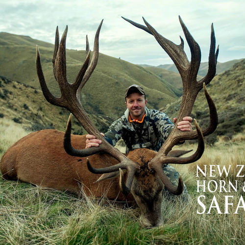 Club New Zealand Red Stag 380 sci
