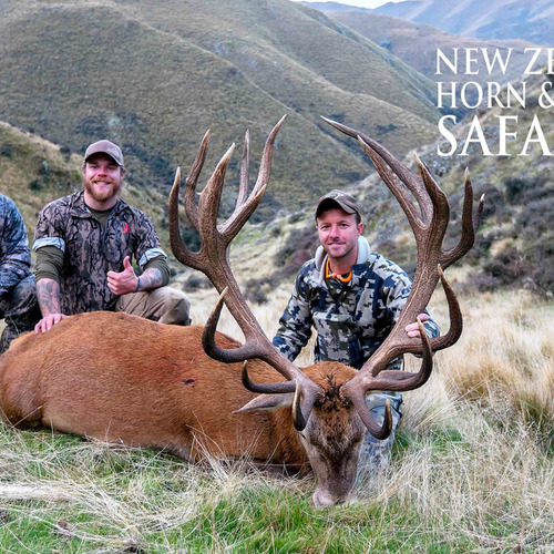 Club New Zealand Red Stag 380 sci