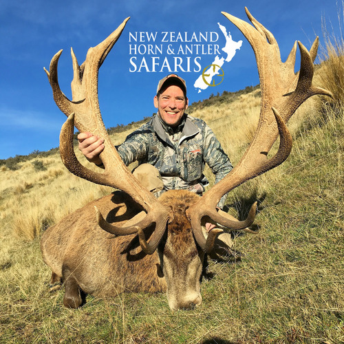 Club New Zealand Red Stag 375 sci