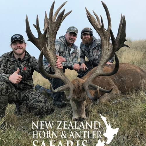 Club New Zealand Red Stag 467 sci