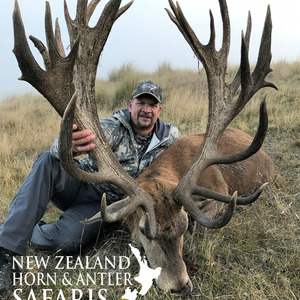 2017 Club New Zealand Red Stag 370 to 440sci