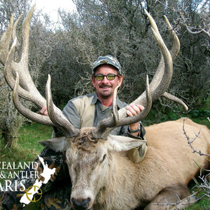 New Zealand Red Stag 320 to 360 past years
