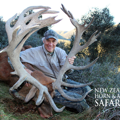 Early Season Club NZ Red Stag 423sci