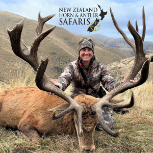 2019 New Zealand Red Stag 340 to 379sci