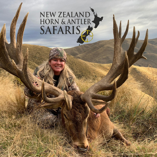 Club New Zealand Red Stag