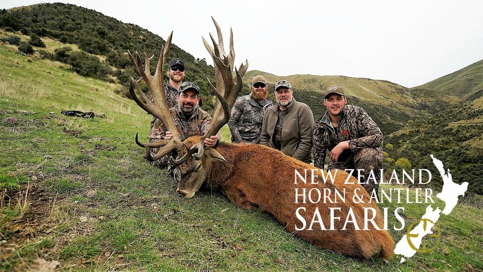 Nz Horn Antler Safaris New Zealand Hunting Outfitter Red Stag Tahr Chamois Fallow Deer