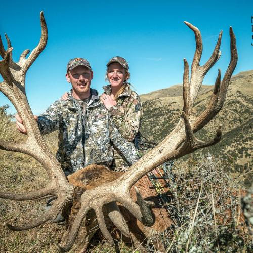 Club New Zealand Red Stag