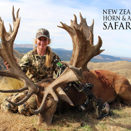 Club New Zealand Red Stag