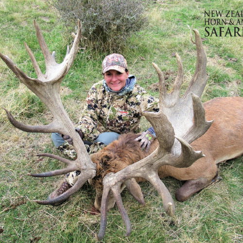 Club New Zealand Red Stag