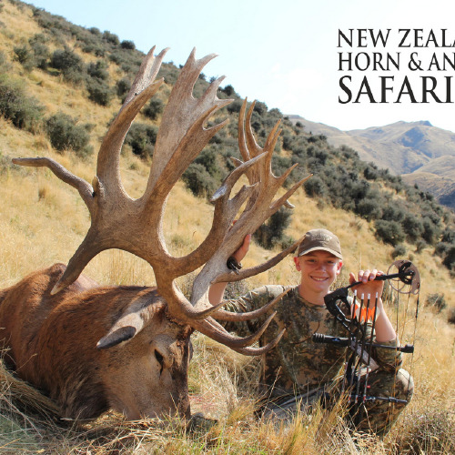 Club New Zealand Red Stag