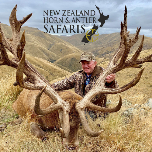 New Zealand Red Stag 441 to 480sci