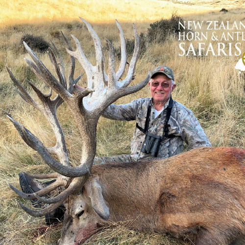 New Zealand Red Stag 441 to 480sci