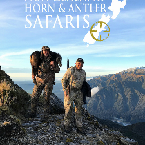 Alpine Chamois