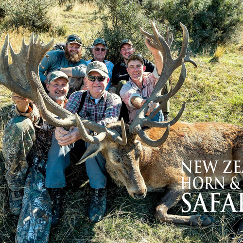 Club New Zealand Red Stag 438 sci