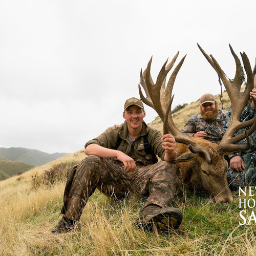 Club New Zealand Red Stag 422 sci