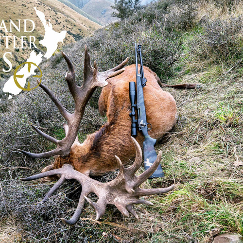 Club New Zealand Red Stag 392 sci