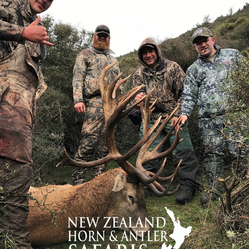 Club New Zealand Red Stag 438 sci