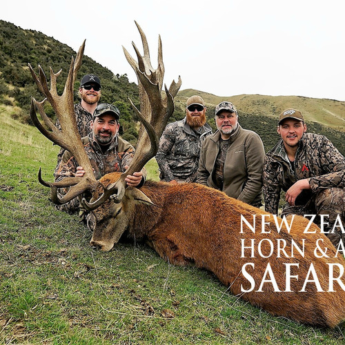 Club New Zealand Red Stag 409 sci