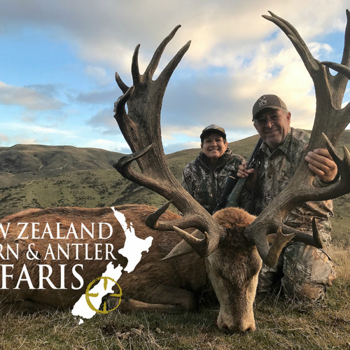 Club New Zealand Red Stag 375 sci