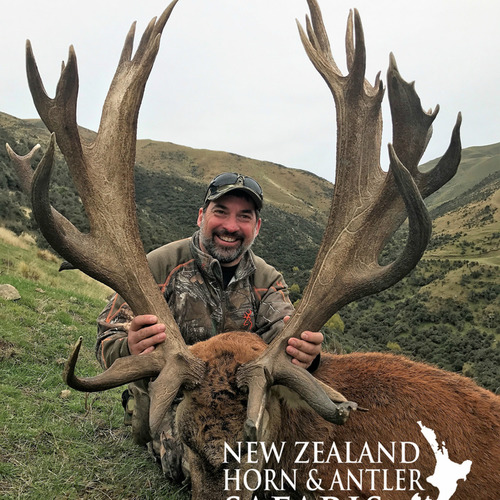 Club New Zealand Red Stag 409 sci