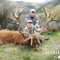 Club New Zealand Red Stag 392 sci