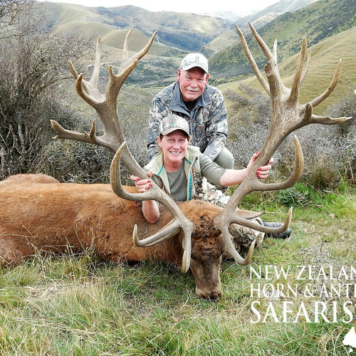 Club New Zealand Red Stag 392 sci