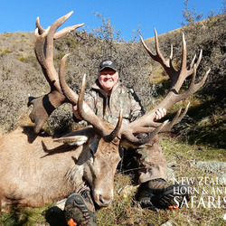 Club New Zealand Red Stag 393 sci