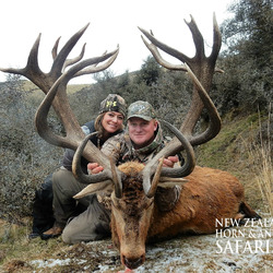 Club New Zealand Red Stag 399 sci