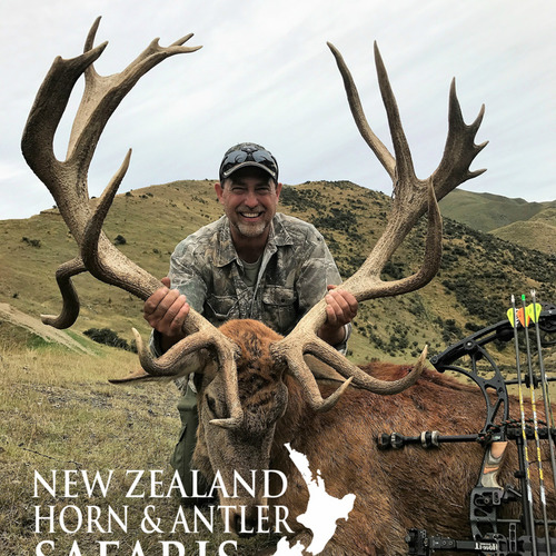 NZ Red Stag 320 - 360