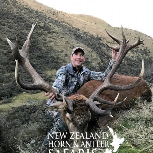 NZ Red Stag 320 - 360