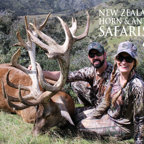 2018 New Zealand Red Stag 320 to 370sci