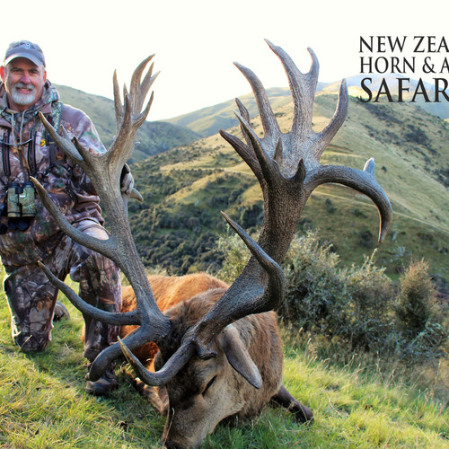 Early Season Club NZ Red Stag 450sci