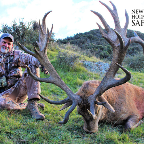 Early Season Club NZ Red Stag 450sci