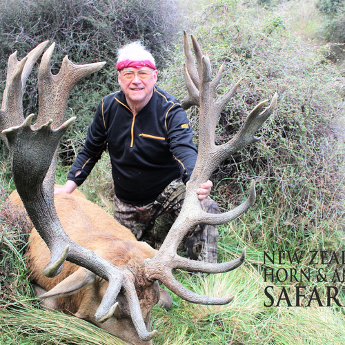 Early Season Club NZ Red Stag 429sci