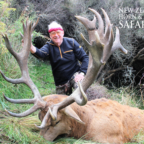 Early Season Club NZ Red Stag 429sci