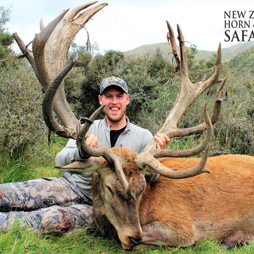 2018 New Zealand Red Stag 320 to 370sci