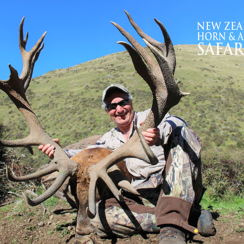 2018 New Zealand Red Stag 320 to 370sci