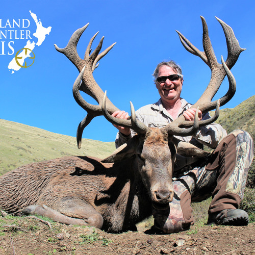 2018 New Zealand Red Stag 320 to 370sci