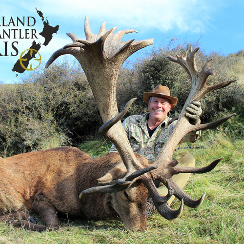 Early Season Club NZ Red Stag 458sci