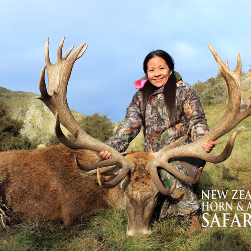 2018 New Zealand Red Stag 320 to 370sci