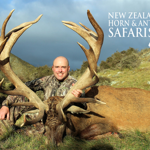 2018 New Zealand Red Stag 320 to 370sci