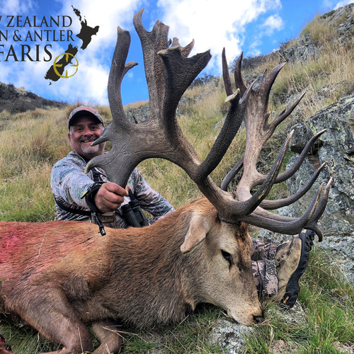 Early Season Club NZ Red Stag 450sci