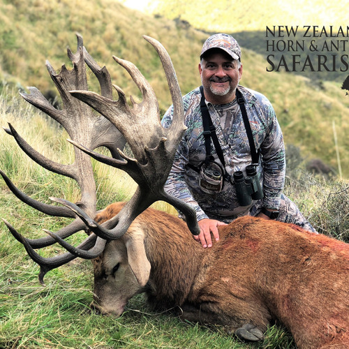 Early Season Club NZ Red Stag 450sci