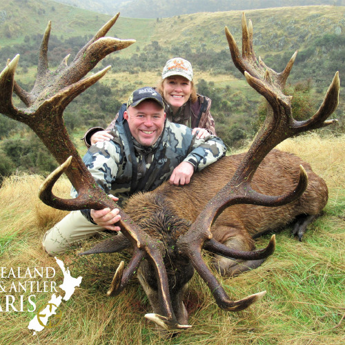 Club New Zealand Red Stag