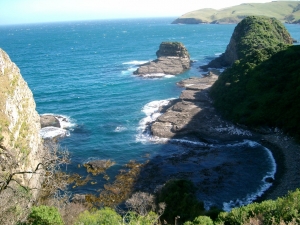 Catlins coast line