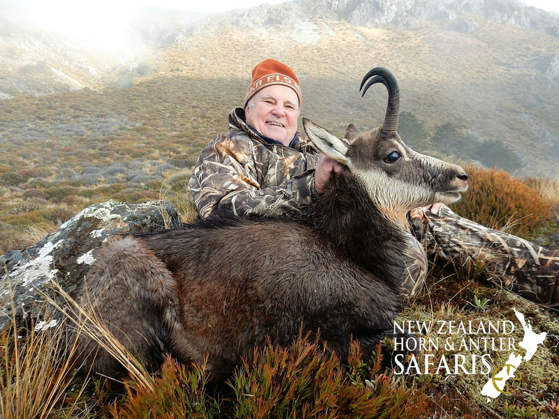 Chamois  New Zealand Deerstalkers Association Inc