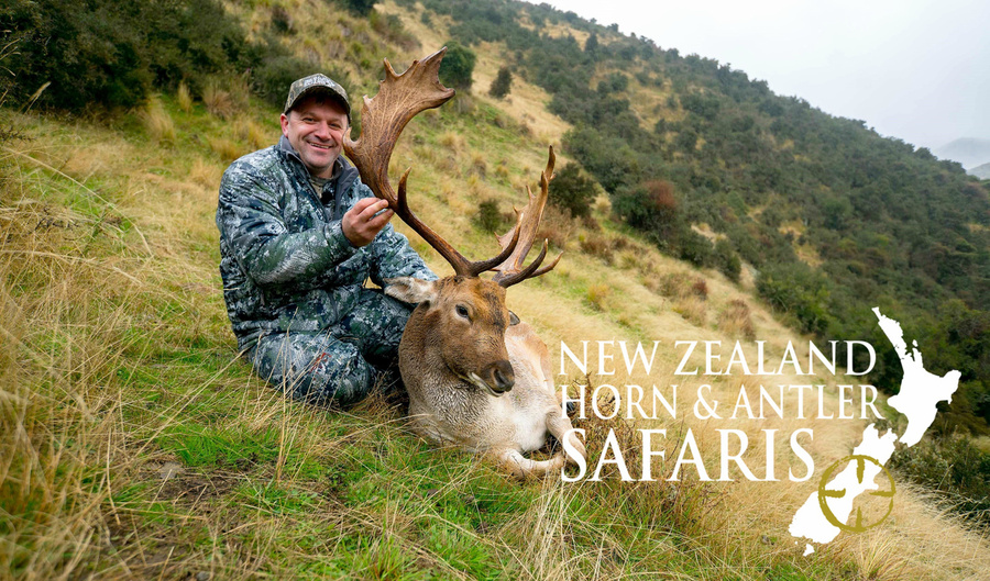 new zealand deer hunting tours