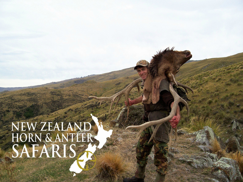 A New Zealand local, Craig had been hunting the South Island his whole